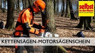 Motorsägenschein für Kettensäge [upl. by Anilat334]