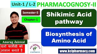 Shickmic Acid Pathway  Biosynthesis of Aromatic Amino Acids  L2 Unit1  Sem5  PharmacognosyII [upl. by Edmondo]