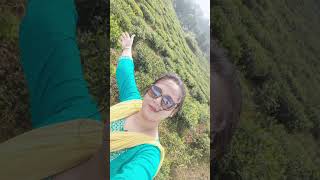 Darjeelingviral videoshortsviral shortsyoutune shortstour [upl. by Bruning380]