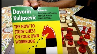 The How to study chess on Your Own Workbook [upl. by Nairahcaz]