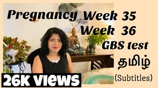 Pregnancy week 35 in tamil  36 weeks pregnant Tamil  GBS test  கர்ப்ப வாரம் 35  கர்ப்ப வாரம்36 [upl. by Enellij]