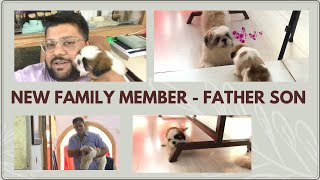 New Family Member  Shihtzu Puppy first met  shih tzu puppy play  Puppy language  New shihtzu [upl. by Crissy816]