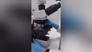 Urinanalysis Part 2 Learn urine microscopy in 5 minuteslaboratory mltclasses [upl. by Asseram]