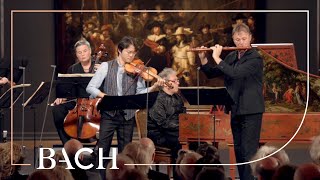 Bach  Brandenburg Concerto no 5 in D major BWV 1050  Sato  Netherlands Bach Society [upl. by Ahsiled]