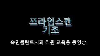 프라임스캐너 기초 [upl. by Zehc467]