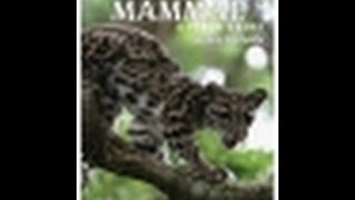 Indian Mammals A field Guide by Vivek Menon [upl. by Enilasor237]