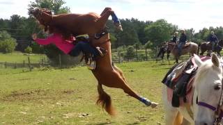 Horse flips on rider [upl. by Aicenet]