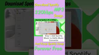 How to Stream Spotify 320kbps High Quality spotifyplaylist 320kbps highquality [upl. by Schacker]