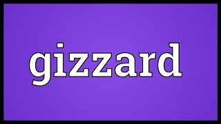 Gizzard Meaning [upl. by Stock]