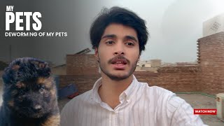 Pets ki Deworming 🤮 [upl. by Odla]