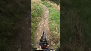 Smells Like Tweed Spirit Glentress MTB Trail Part 4 [upl. by Field654]