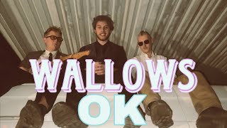 OK  wallows music video [upl. by Wagstaff]