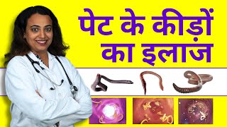 Intestinal Worms Treatment  Pet me Kide ka Ilaj Kaise Kare [upl. by Belia]