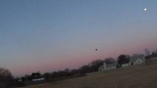 The Bat Wing 64mm RC JET Sunset FlightScratch builtcheck it out [upl. by Anselmi106]