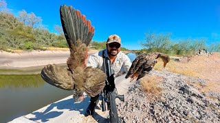 Cacería de CHACHALACAS y PATOS en canales de riego con RIFLE PCP [upl. by Anirehc]