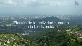 Territorio Ambiental  Tema Efectos de la actividad humana en la biodiversidad [upl. by Ahseiym334]