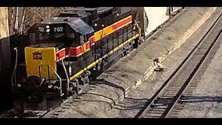 LIVE 3 hour STREAM 2023 Trains in Northern IllinoisIllinois Valley Trains  IAIS Buzzi IR BNSF [upl. by Pine]