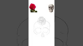 Roses  skull art anime procreate rose skull drawing aesthetic skullart roseart [upl. by D'Arcy243]