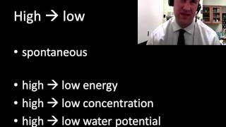 Energy chemistry review part 1  2 [upl. by Anabel401]