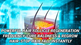 🎧Powerful Hair Follicle Regeneration FrequencyCure Baldness amp Regrow HairStop Hair Fall Instantly [upl. by Dowski]