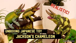 【Unboxing Japanese Toy】Jacksons chameleon from SOTA ジャクソンカメレオン [upl. by Wiburg]