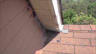 Wildlife Proofing The Roof 2 [upl. by Chantal102]