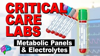 What is Basic Metabolic Panel Learn it in 1 minute What is included in Chem7 Panel [upl. by Jonell]