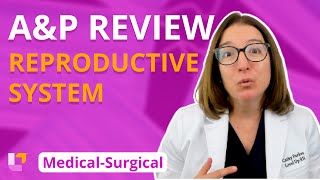 MS Reproductive System AampP Review [upl. by Ecreip]