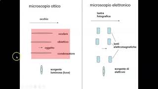 Il microscopio Parte 1 [upl. by Einned]