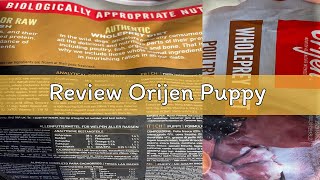 Review Orijen Puppy [upl. by Ulyram]