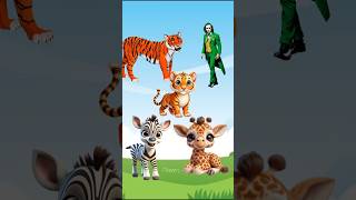 Mera tiger baccha kahan haianimation cartoon [upl. by Seften]