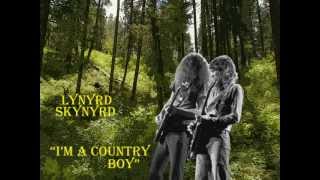 LYNYRD SKYNYRD IM A COUNTRY BOY 1975 [upl. by Feodora]