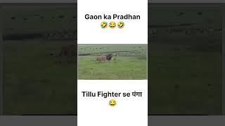 Gaon Ka Pradhan😂ytshort yt viralvideo viralvideos viralshorts viralshort funny memes [upl. by Nnaeinahpets]