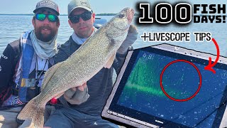 AIM WALLEYE Championship 2023 [upl. by Aihsi]