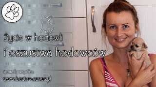 Życie w hodowli i oszustwa hodowców [upl. by Heilner]