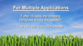 Benefits of Nufarm Velocity® Herbicide [upl. by Nwahc]