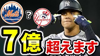 【大谷越え】FAランキング と予想金額＆チームはどこ？ ドジャース ヤンキース メッツ レッドソックス ソト バーンズ 菊池 メジャーリーグ ぶらっど【MLB】 [upl. by Cristine]