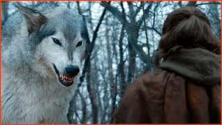 Game of Thrones S7E2  Arya meet Nymeria [upl. by Teraj810]