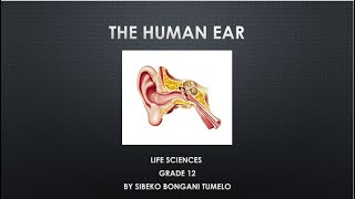 LIFE SCIENCES HUMAN EAR GRADE 12 [upl. by Anavrin]