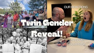 TWIN GENDER REVEAL [upl. by Ycats]