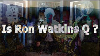 Is Ron Watkins Qanon [upl. by Vareck308]