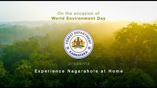 Experience Nagarahole at Home [upl. by End]