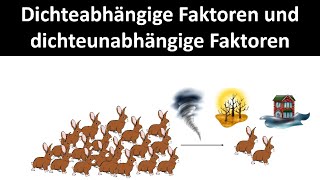 Dichteabhängige amp Dichteunabhängige Faktoren Biologie Ökologie Oberstufe [upl. by Riocard368]