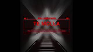 TE MOLLA  ARNON FT KILLUA  HUZZLE amp MANDELA BOOTLEG [upl. by Henning]