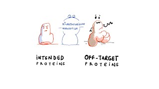 mRNA Vaccine Design Issue  What Are OffTarget Proteins [upl. by Plotkin]