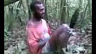 Wild bore hunting story Nakavika Fiji [upl. by Nurat725]