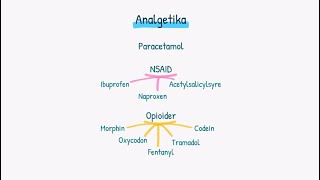 Nervesystemet Analgetika [upl. by Xanthe902]