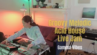 Gamma Vibes  Groovy Melodic Acid House Dawless Live Jam [upl. by Ecniv]