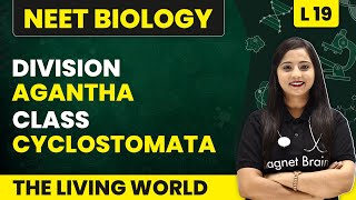 Division  Agantha Class  Cyclostomata  Animal Kingdom  L19  NEET Biology [upl. by Nuawtna]