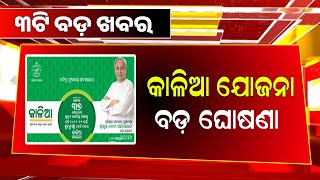 Kalia Yojana New Update 11th January  Budget 2024  Odisha TV [upl. by Roee]